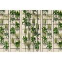 Fotomural Paredes de Patel 3 Plant Shop 2 verde, beige, gris