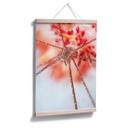 Poster - Narchuk - Exotique