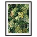 Plakat med jungleplanter - Jaszke