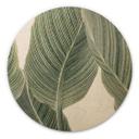 Cuadro de madera Calathea planta - Sisi & Seb - Redondo