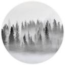 Cloud forest wallpaper i sort og hvid - Forest wallpaper round - Xu - vliesetapet/selvklæbende non-w