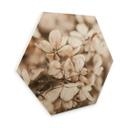 Hexagone - Bois Annie - Fleurs en velours