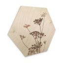 Hexagone - Bois Herbes sauvages