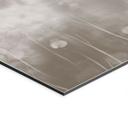 Wanddecoratie Paardenbloemen Droom in Beige - Ms Tiff - Alu-Dibond