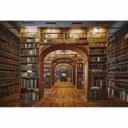 Fototapet - Aurednik - Library - 384x260 cm
