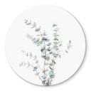 Tableau en verre Sisi & Seb - Branche d'Eucalyptus - Rond