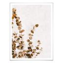 Plakat - Annie - Dried Leaves