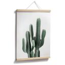 Póster planta de cactus - Sisi & Seb
