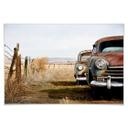 Poster - Old rusted Cars