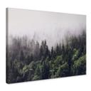 Canvasbillede - Tåget skov
