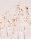 Fototapet blomster, blade blomstret natur, moderne i beige