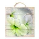 Cuadro de madera Schmucker - Amarilis blanca - 40x41,5 cm