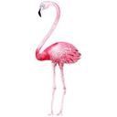 Sticker mural Kristina Kvilis - Flamant rose 01
