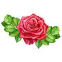 Sticker mural - Rose rouge XXL