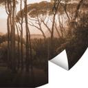 Fotomural pinos paraguas con viñeteado sepia - redondo - Papel pintado autoadhesivo/no tejido
