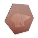 Hexagon - Alu-Dibond koper effect - Ijsberen