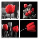 Canvasbillede, Røde tulipaner blomster