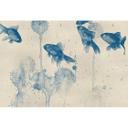 Papier peint photo Poissons bleus