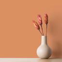 Vægfarve orange silkemat - COLOR Kitchen Pretty Pumpkin