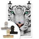 Plakat - Sumatratiger