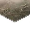 Acrylglas Mystiek regenwoud in de mist - Ms Tiff