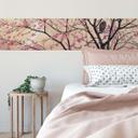 Papier peint photo Coleman - Primavera - Panorama - 48x260 cm