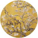 Fototapet - Rundt van Gogh - Mandelblomst okker - vliesetapet/selvklæbende non-woven tapet