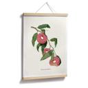 Póster Suelto - Planta de donuts
