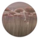 Houten Wanddecoratie lotusbloemen met zwaan in het water in donkerroze - Ms Tiff - Rond