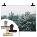 Póster - Cactus