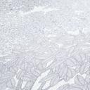 Architects Paper Floral Impression - Papier peint intissé de forêt, gris