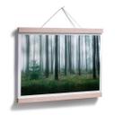 Póster Lindsten - En el bosque