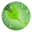 Tableau sur alu-Dibond rond Foto - Cœur de goutte d'eau sur feuille verte