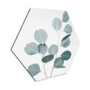 Hexagone - Tableau en alu-Dibond Sisi & Seb - Eucalyptus bleu