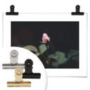 Poster Bouton de rose