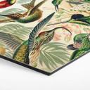 Hexagon Dibond Haeckel - Kolibries