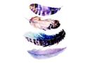 Muursticker set Aquarel Veren 01