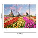 non-woven tapet Zaanse Schans landskabshave fototapet Designwalls i farvet og brun 