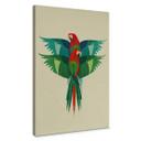 Cuadro lienzo marrón - Guacamayo