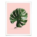Póster Suelto - Monstera Ant