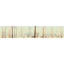 Papier peint photo Le petit extra-terrestre - Panorama - 48x260 cm