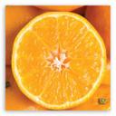 Canvasbillede, Frugt appelsin makro