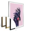 Póster Suelto - Pájaro Galaxia