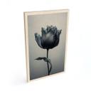 Cuadro de madera tulipán aterciopelado en negro - Paksoylu
