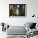 Plakat - Colombo - Waterfall forest