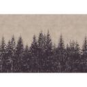 Livingwalls Fototapet Walls by Patel Black Forest 1