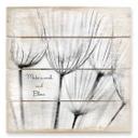 Cuadro de madera Pide un deseo... - 40x41,5 cm