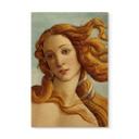 Træplakat Portræt af Venus - Inspireret af Botticelli