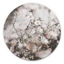 Tableau sur alu-Dibond Annie - Fleurs sauvages - Rond