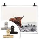 Plakat van den Helm - Highlander